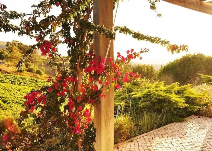Fabulosa Quinta Do Vento