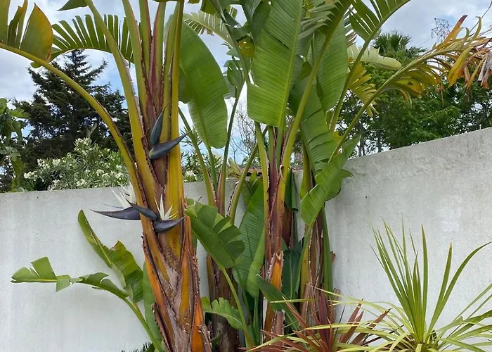 Casa Do Jardim