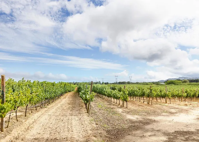 Casa Syrah